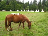 tábor 2004 tábor 2004